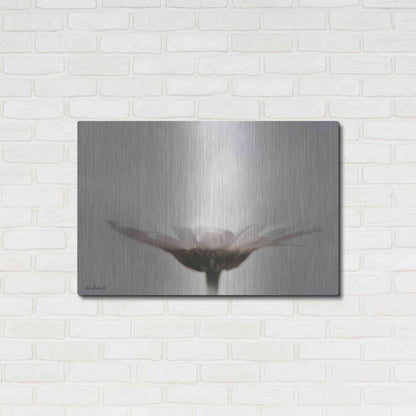 Luxe Metal Art 'Love Story' by Lori Deiter, Metal Wall Art,36x24
