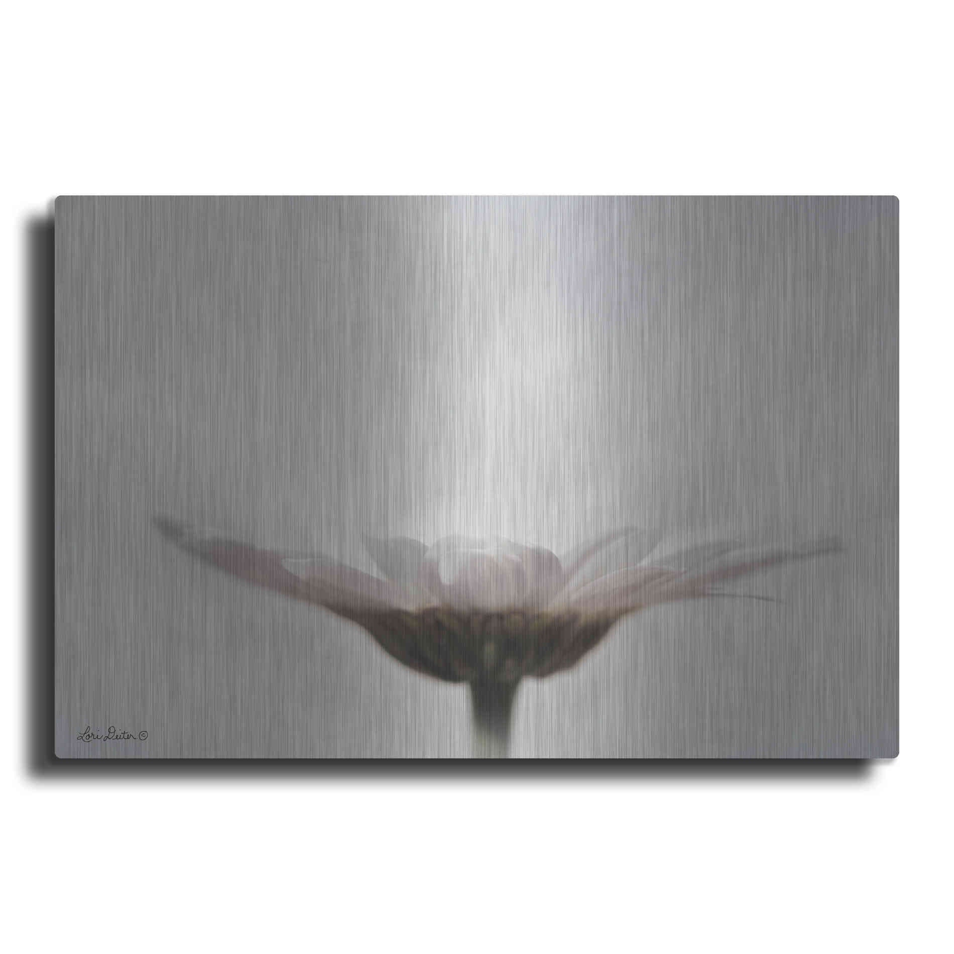 Luxe Metal Art 'Love Story' by Lori Deiter, Metal Wall Art
