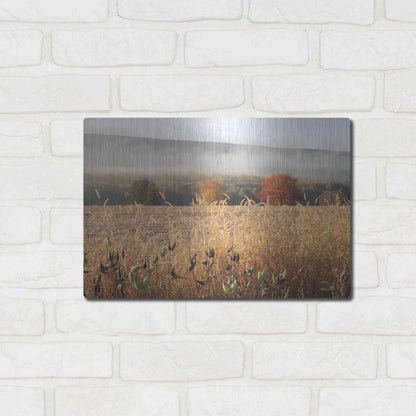 Luxe Metal Art 'Autumn Shades' by Lori Deiter, Metal Wall Art,16x12