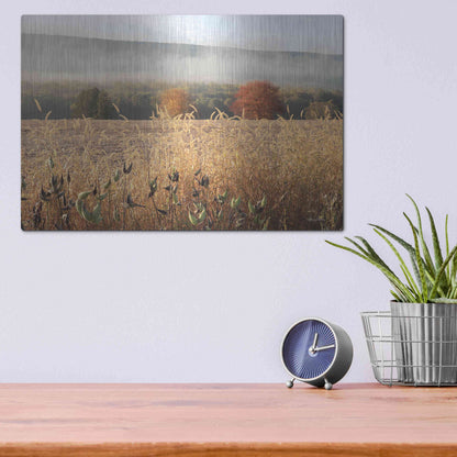 Luxe Metal Art 'Autumn Shades' by Lori Deiter, Metal Wall Art,16x12