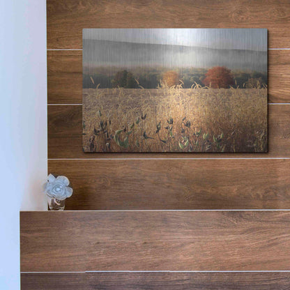 Luxe Metal Art 'Autumn Shades' by Lori Deiter, Metal Wall Art,16x12