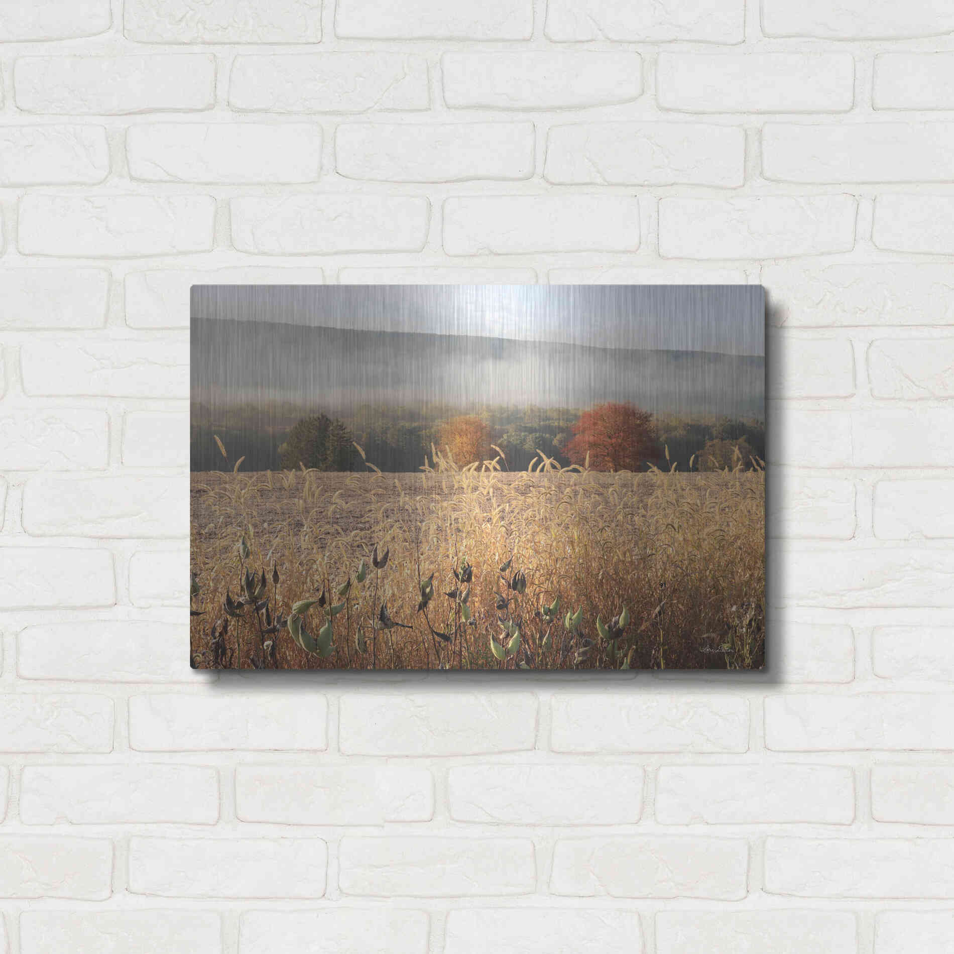 Luxe Metal Art 'Autumn Shades' by Lori Deiter, Metal Wall Art,24x16