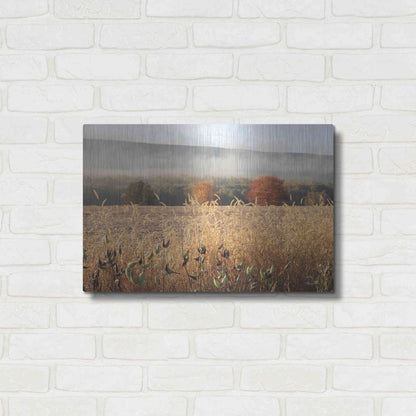 Luxe Metal Art 'Autumn Shades' by Lori Deiter, Metal Wall Art,24x16