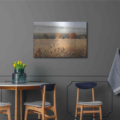 Luxe Metal Art 'Autumn Shades' by Lori Deiter, Metal Wall Art,36x24