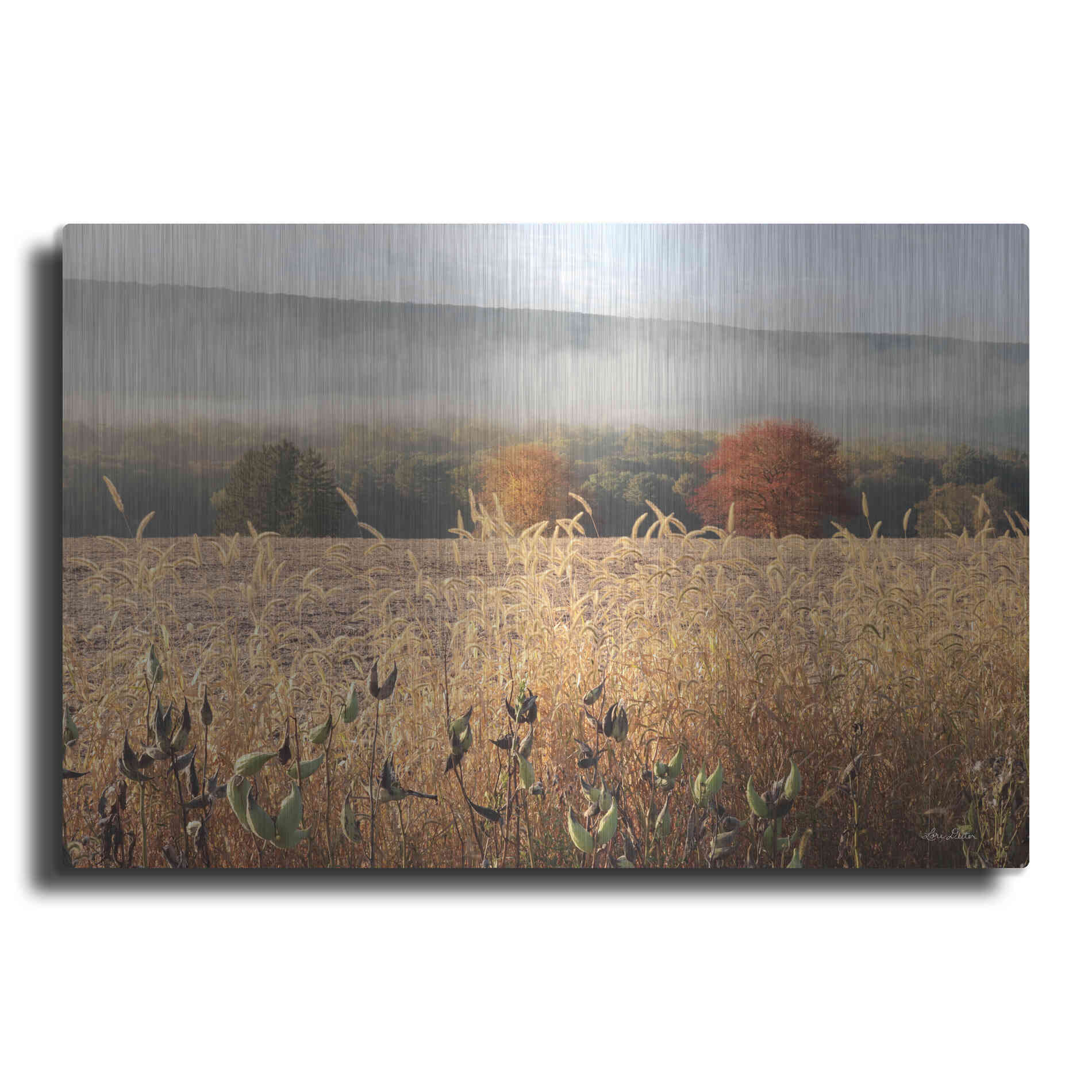 Luxe Metal Art 'Autumn Shades' by Lori Deiter, Metal Wall Art