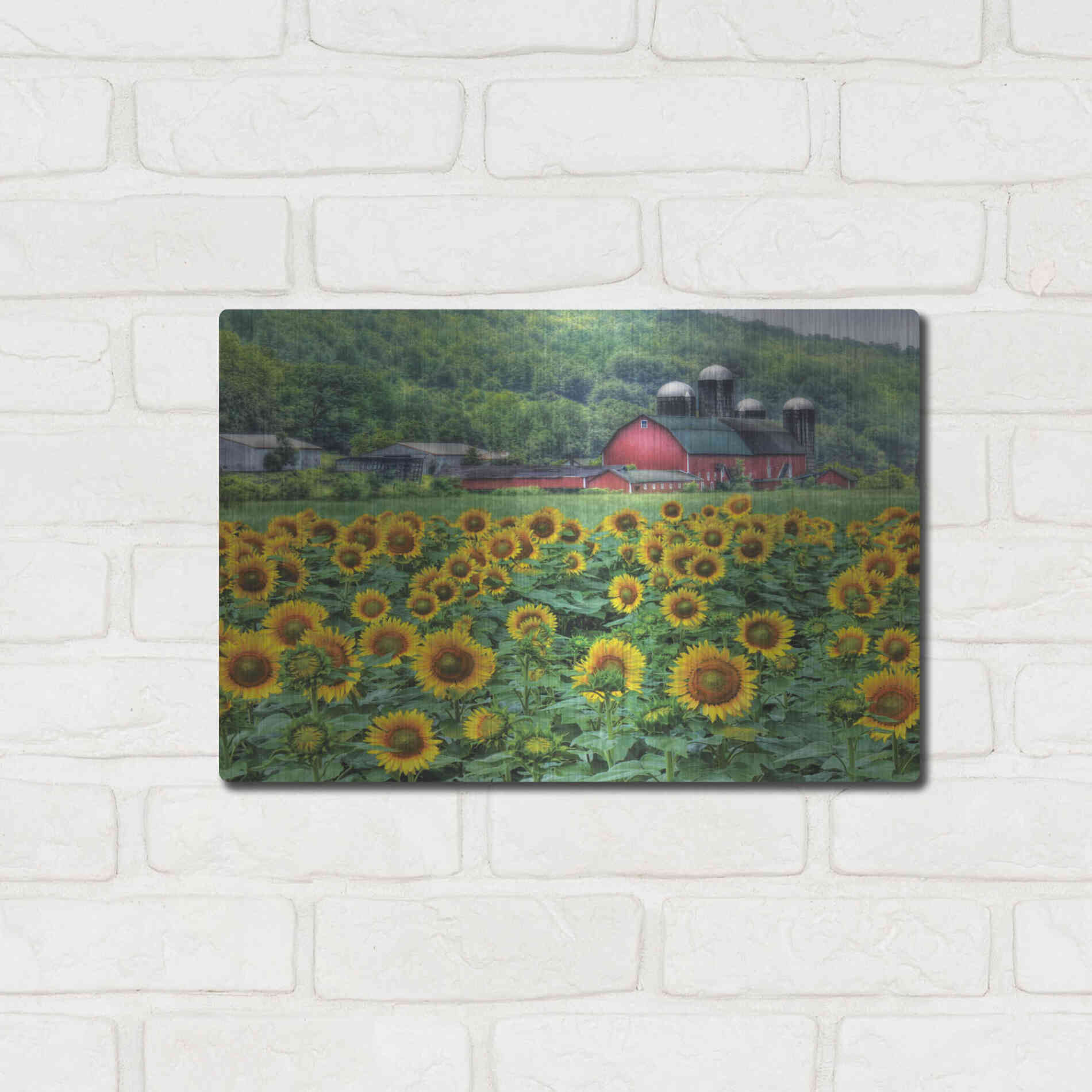 Luxe Metal Art 'Sunflower Field' by Lori Deiter, Metal Wall Art,16x12