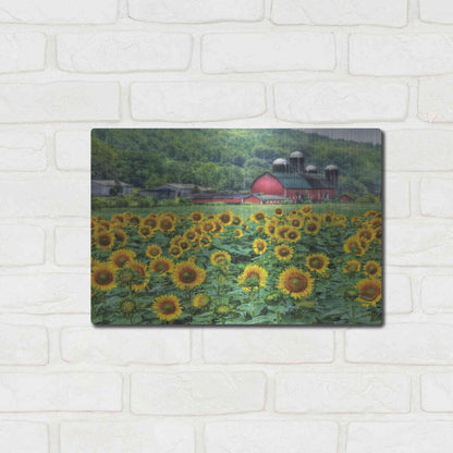 Luxe Metal Art 'Sunflower Field' by Lori Deiter, Metal Wall Art,16x12