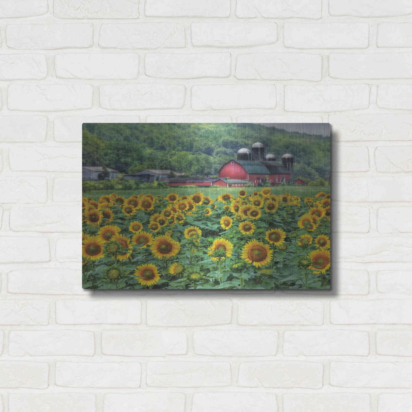 Luxe Metal Art 'Sunflower Field' by Lori Deiter, Metal Wall Art,24x16