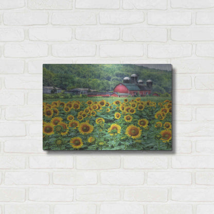 Luxe Metal Art 'Sunflower Field' by Lori Deiter, Metal Wall Art,24x16