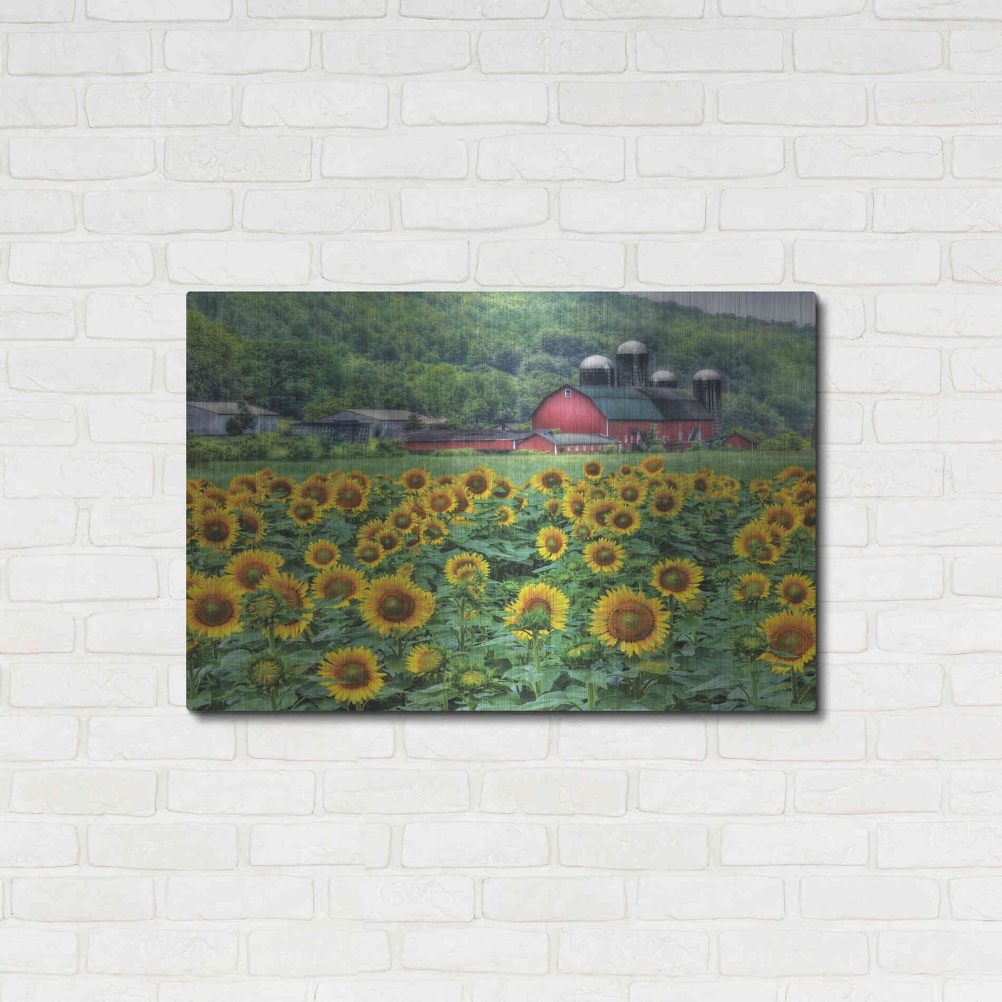 Luxe Metal Art 'Sunflower Field' by Lori Deiter, Metal Wall Art,36x24