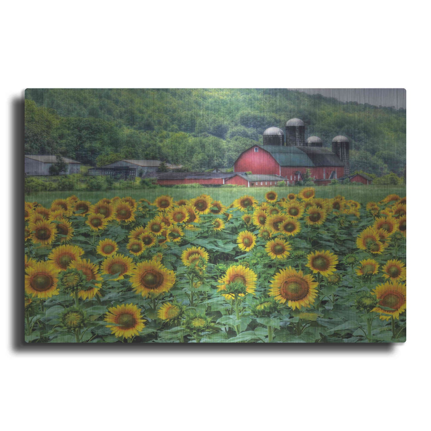 Luxe Metal Art 'Sunflower Field' by Lori Deiter, Metal Wall Art