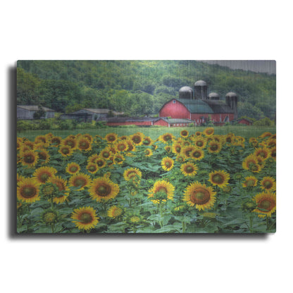 Luxe Metal Art 'Sunflower Field' by Lori Deiter, Metal Wall Art