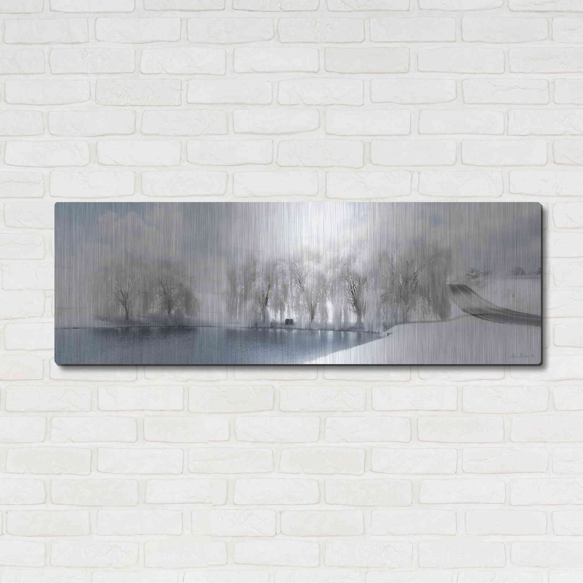 Luxe Metal Art 'Winter Willow' by Lori Deiter, Metal Wall Art,48x16