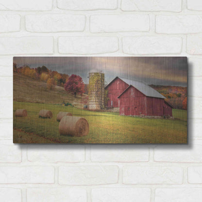 Luxe Metal Art 'Autumn Breeze' by Lori Deiter, Metal Wall Art,24x12