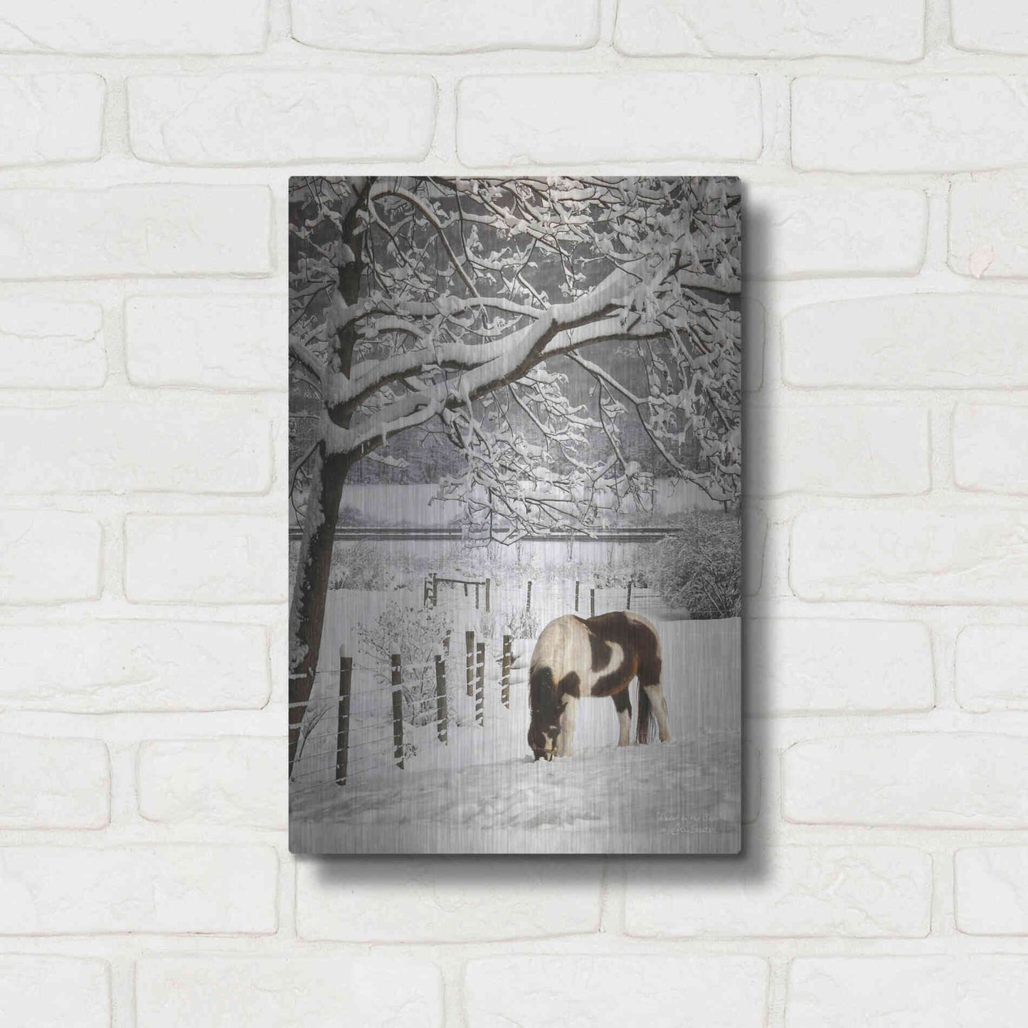 Luxe Metal Art 'Paint in the Snow' by Lori Deiter, Metal Wall Art,12x16