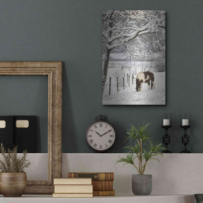 Luxe Metal Art 'Paint in the Snow' by Lori Deiter, Metal Wall Art,12x16