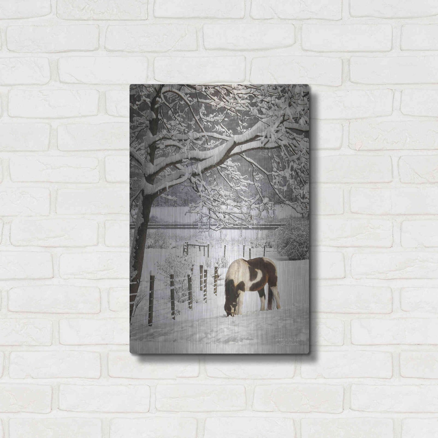 Luxe Metal Art 'Paint in the Snow' by Lori Deiter, Metal Wall Art,16x24