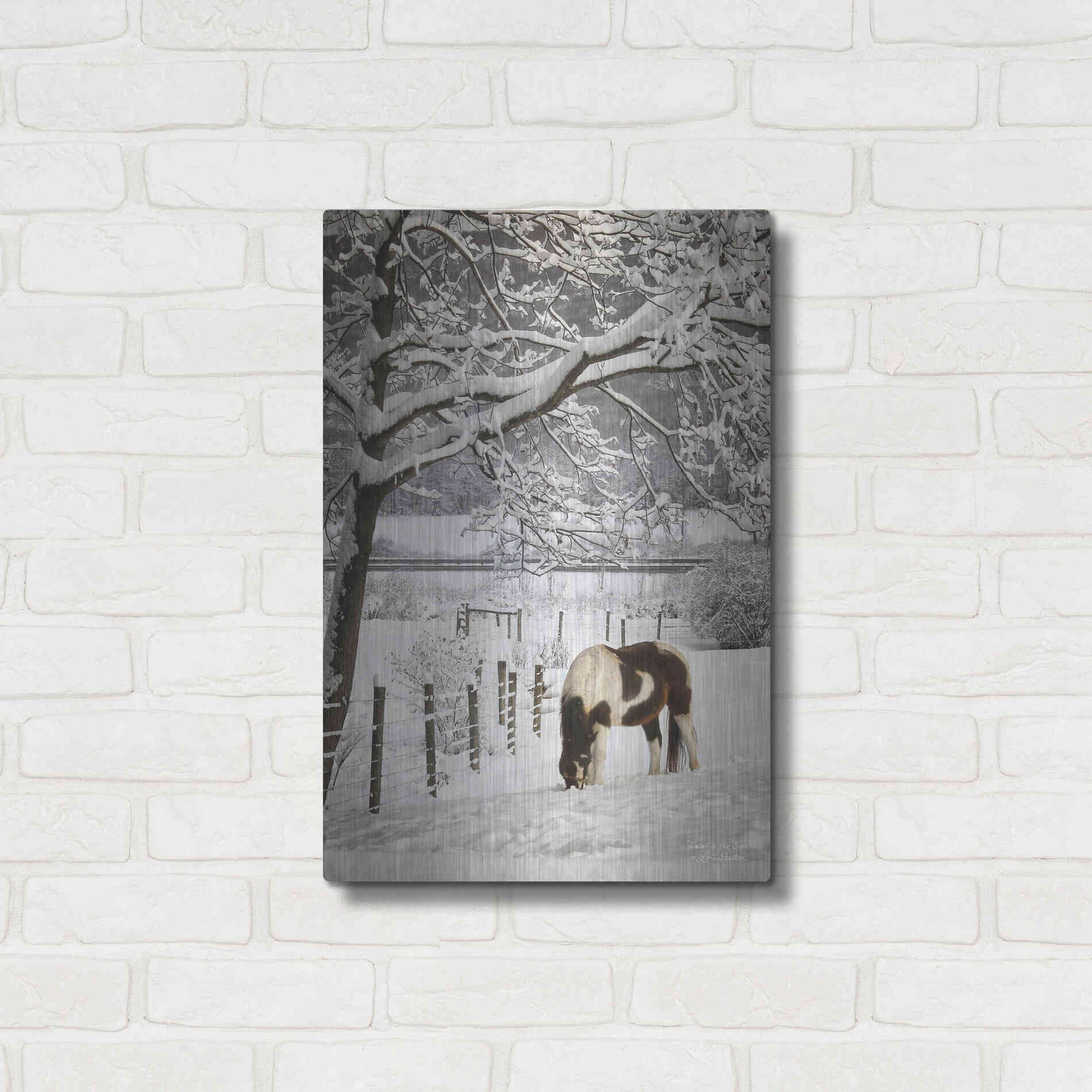 Luxe Metal Art 'Paint in the Snow' by Lori Deiter, Metal Wall Art,16x24