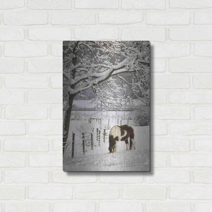 Luxe Metal Art 'Paint in the Snow' by Lori Deiter, Metal Wall Art,16x24