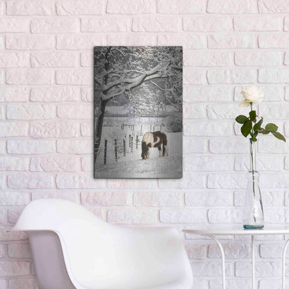 Luxe Metal Art 'Paint in the Snow' by Lori Deiter, Metal Wall Art,16x24