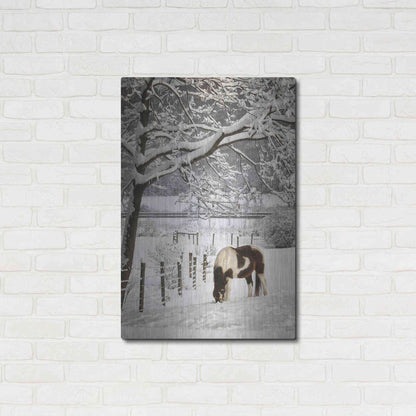 Luxe Metal Art 'Paint in the Snow' by Lori Deiter, Metal Wall Art,24x36