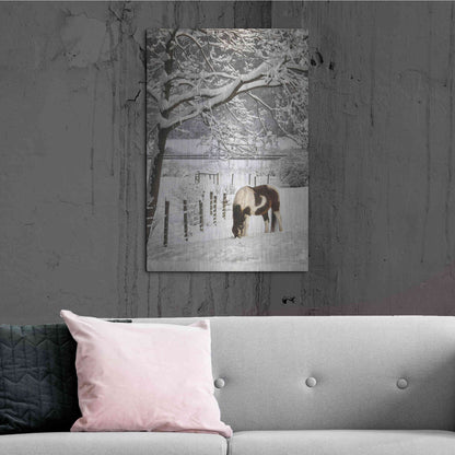 Luxe Metal Art 'Paint in the Snow' by Lori Deiter, Metal Wall Art,24x36