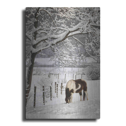 Luxe Metal Art 'Paint in the Snow' by Lori Deiter, Metal Wall Art