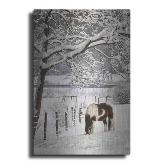 Luxe Metal Art 'Paint in the Snow' by Lori Deiter, Metal Wall Art