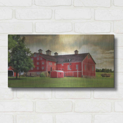 Luxe Metal Art 'Aging Gracefully' by Lori Deiter, Metal Wall Art,24x12