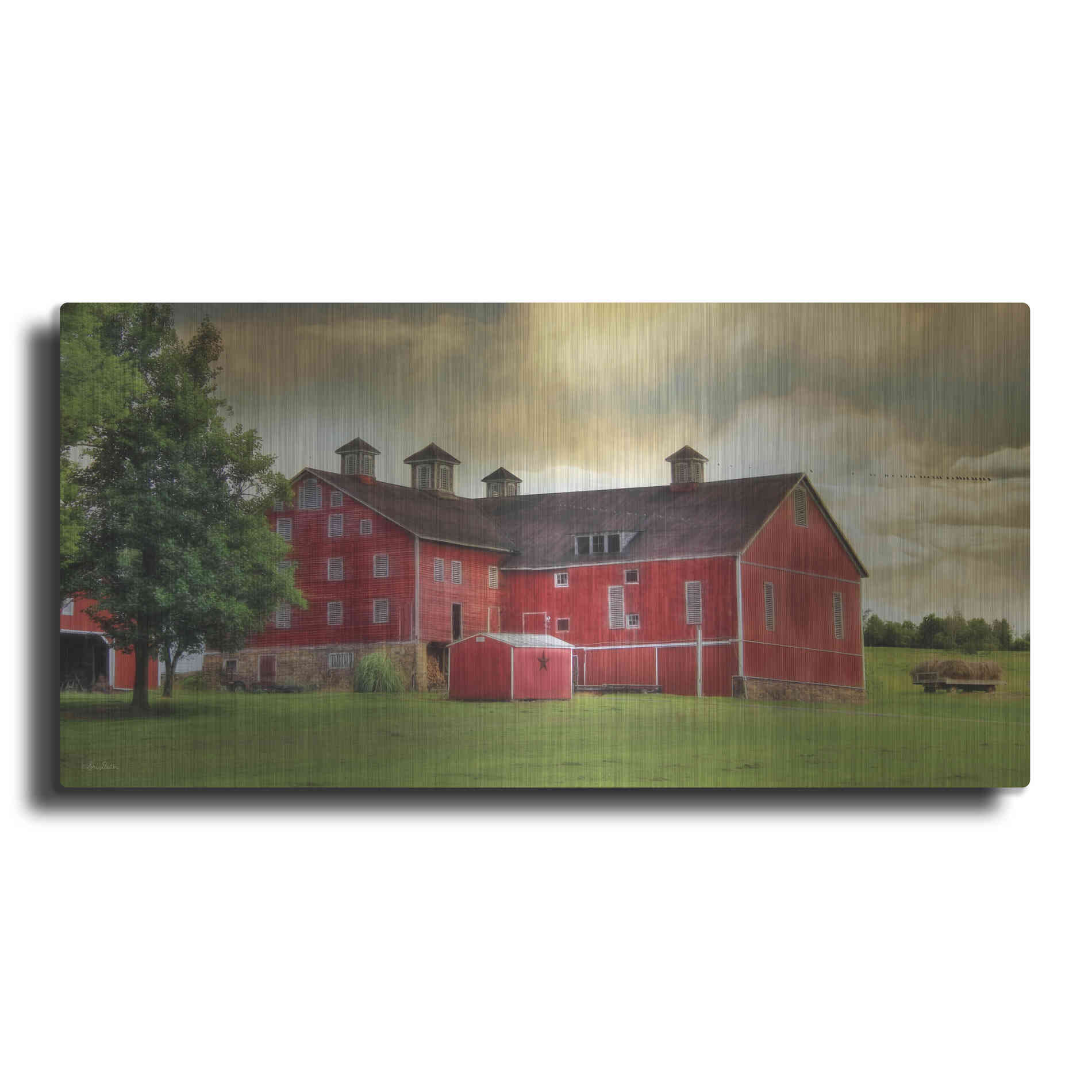 Luxe Metal Art 'Aging Gracefully' by Lori Deiter, Metal Wall Art