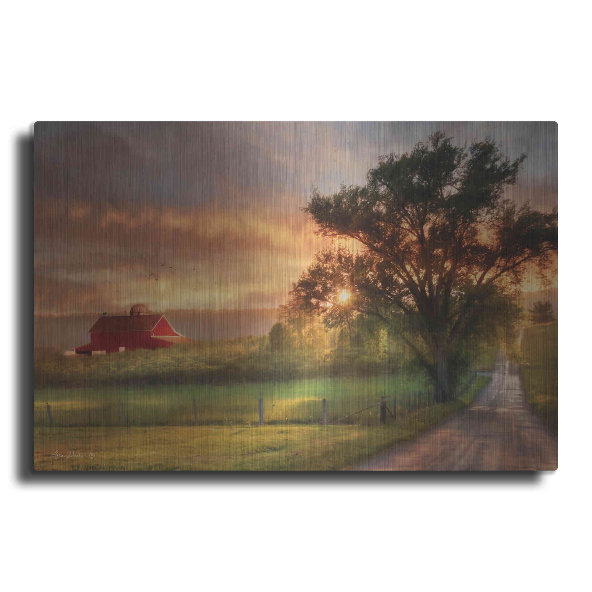Luxe Metal Art 'Country Lane Sunset' by Lori Deiter, Metal Wall Art