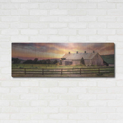 Luxe Metal Art 'Sunset in the Valley' by Lori Deiter, Metal Wall Art,48x16
