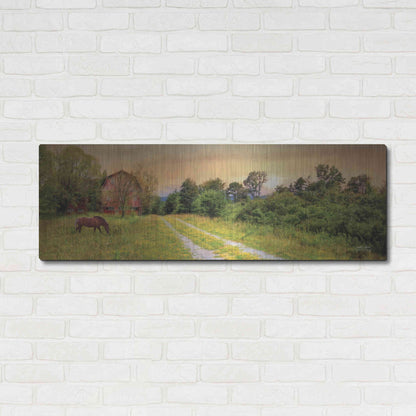 Luxe Metal Art 'Good Grazing' by Lori Deiter, Metal Wall Art,48x16