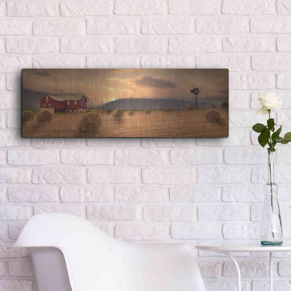 Luxe Metal Art 'Workin' the Farm' by Lori Deiter, Metal Wall Art,36x12