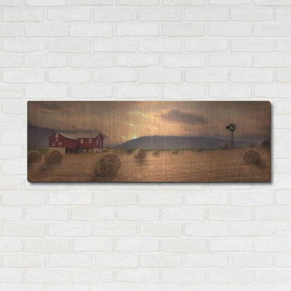 Luxe Metal Art 'Workin' the Farm' by Lori Deiter, Metal Wall Art,48x16