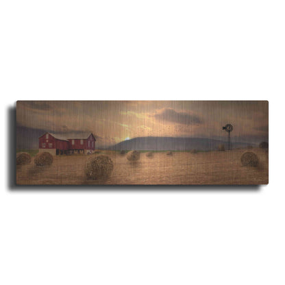 Luxe Metal Art 'Workin' the Farm' by Lori Deiter, Metal Wall Art
