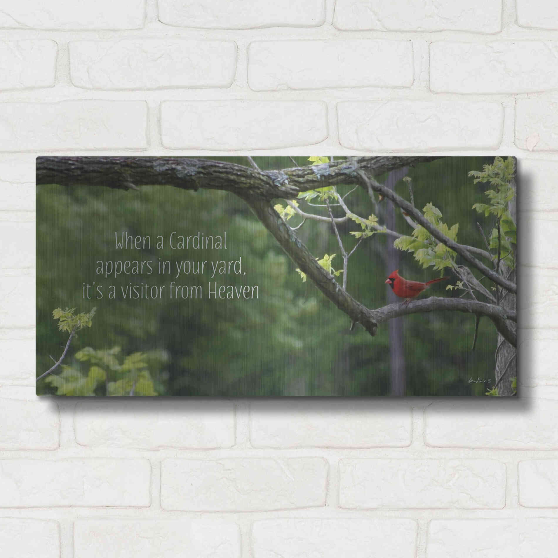 Luxe Metal Art 'Visitor from Heaven' by Lori Deiter, Metal Wall Art,24x12