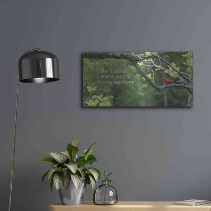 Luxe Metal Art 'Visitor from Heaven' by Lori Deiter, Metal Wall Art,24x12