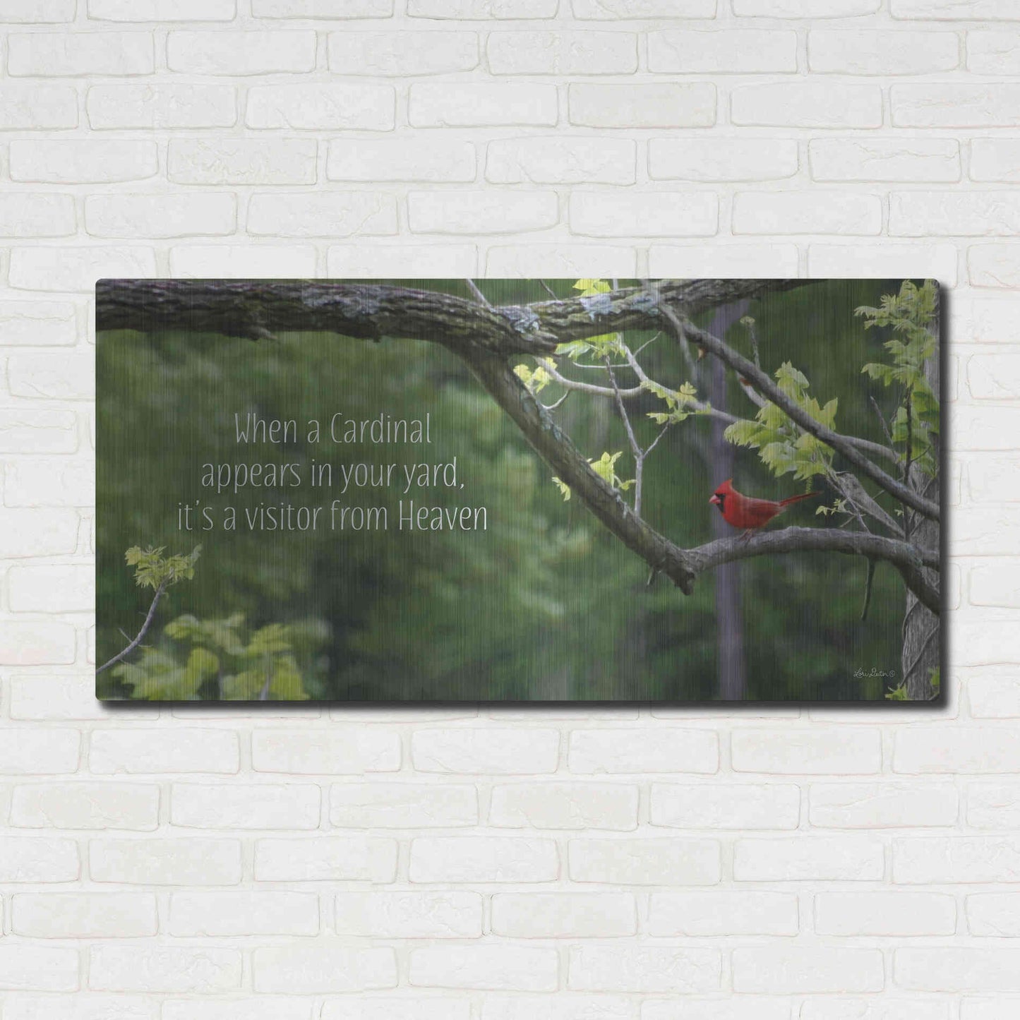 Luxe Metal Art 'Visitor from Heaven' by Lori Deiter, Metal Wall Art,48x24