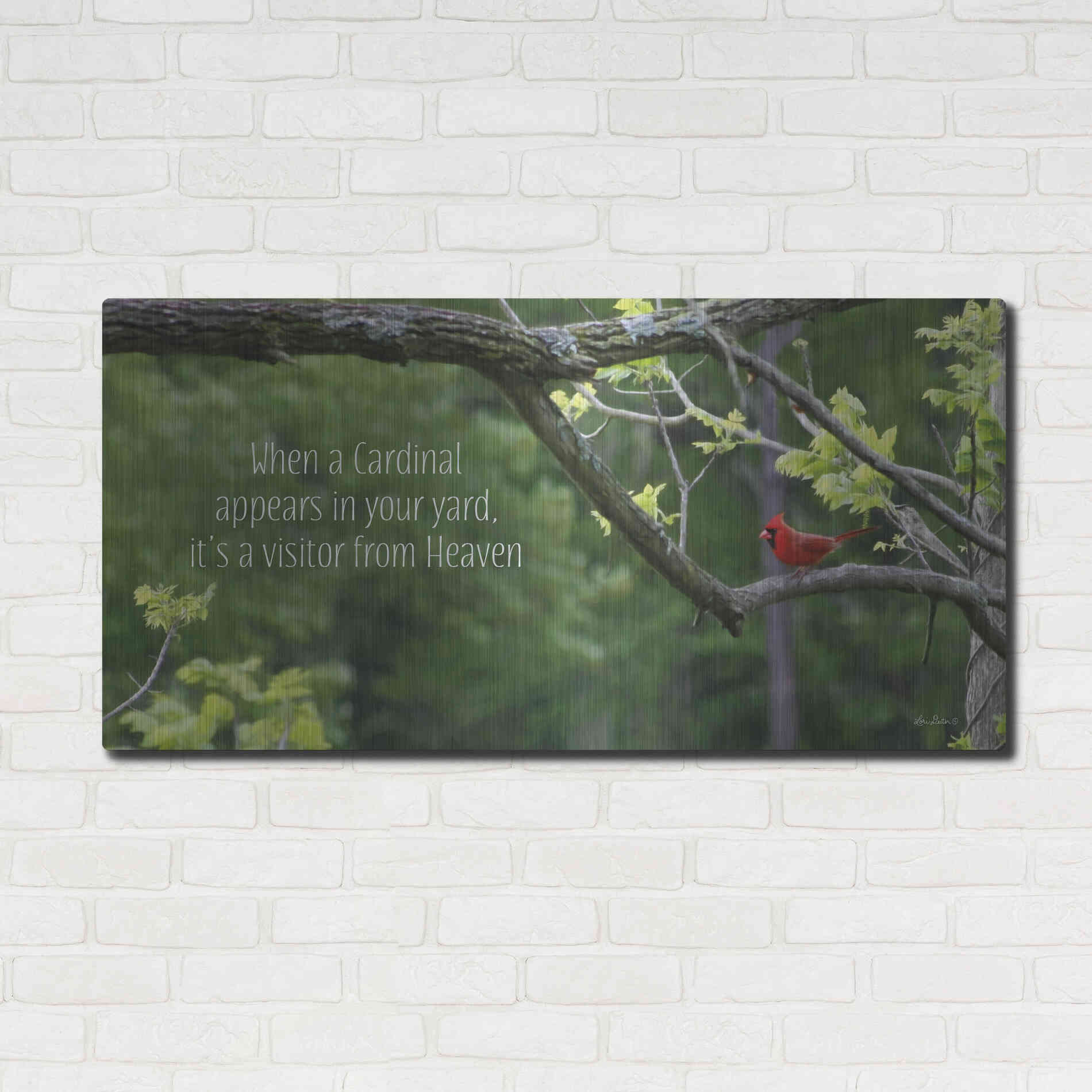 Luxe Metal Art 'Visitor from Heaven' by Lori Deiter, Metal Wall Art,48x24