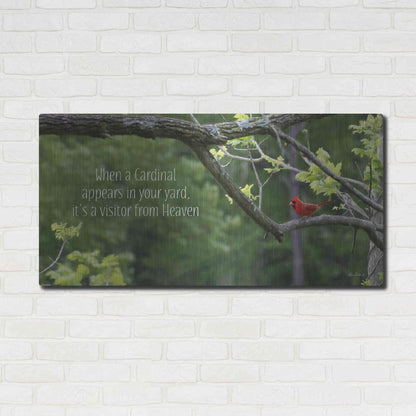 Luxe Metal Art 'Visitor from Heaven' by Lori Deiter, Metal Wall Art,48x24