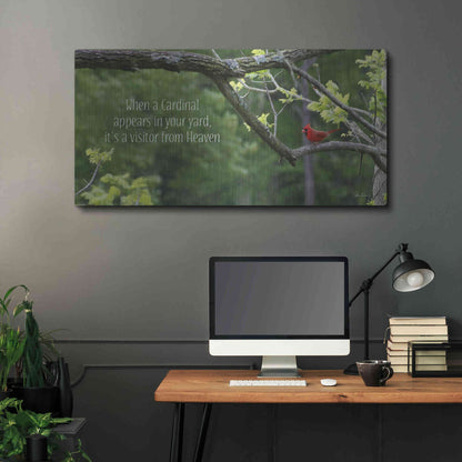 Luxe Metal Art 'Visitor from Heaven' by Lori Deiter, Metal Wall Art,48x24