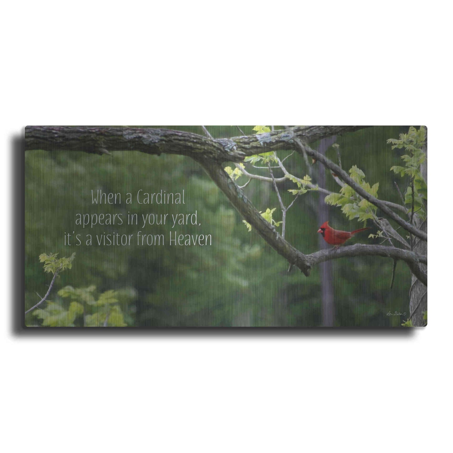 Luxe Metal Art 'Visitor from Heaven' by Lori Deiter, Metal Wall Art