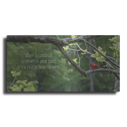 Luxe Metal Art 'Visitor from Heaven' by Lori Deiter, Metal Wall Art