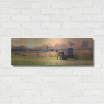 Luxe Metal Art 'Evening Cruise' by Lori Deiter, Metal Wall Art,36x12