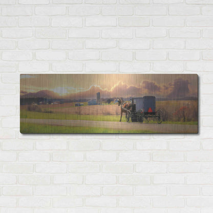 Luxe Metal Art 'Evening Cruise' by Lori Deiter, Metal Wall Art,48x16