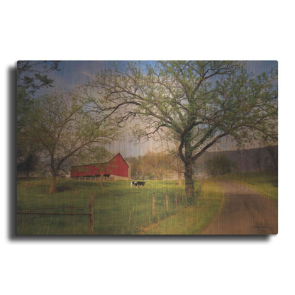 Luxe Metal Art 'Country Sunrise' by Lori Deiter, Metal Wall Art