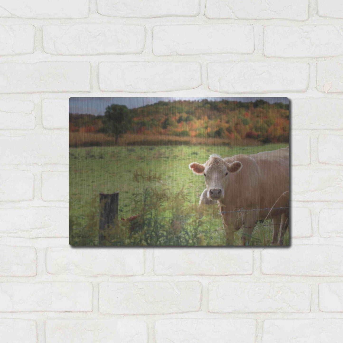 Luxe Metal Art 'Fall Cow' by Lori Deiter Metal Wall Art,16x12