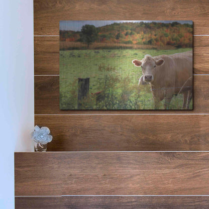 Luxe Metal Art 'Fall Cow' by Lori Deiter Metal Wall Art,16x12