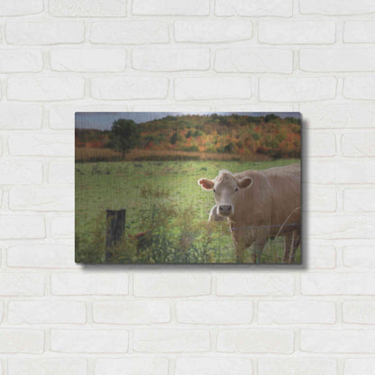 Luxe Metal Art 'Fall Cow' by Lori Deiter Metal Wall Art,24x16